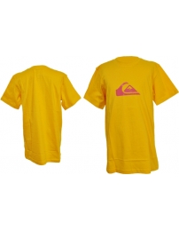 Quiksilver T-shirt Basic Tee Logo Youth Jr
